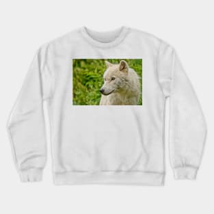 Arctic Wolf Crewneck Sweatshirt